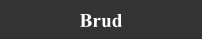 Brud